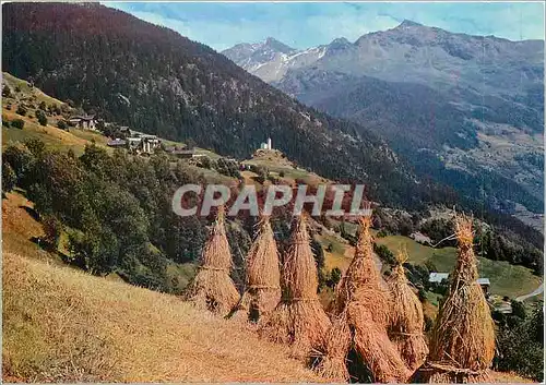 Cartes postales moderne En Tarentaise (Savoie) La saison des Fenasons pres de Montvalezan au fond la chapelle St Michell