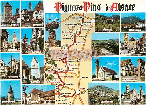 Cartes postales moderne La route des vins de charenois a Colmar