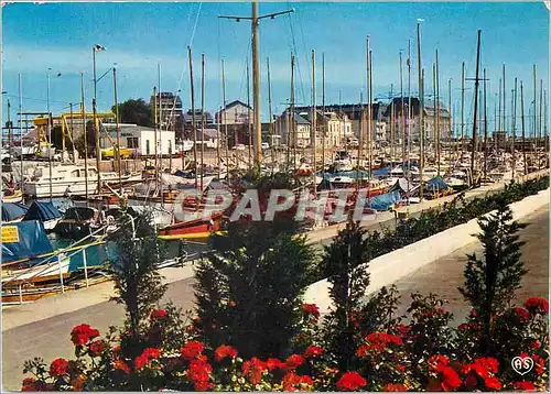 Cartes postales moderne Courseulles sur mer (Calvados) Le bassin de Plaisance