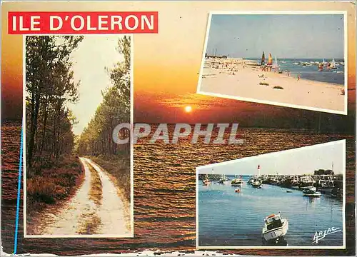 Cartes postales moderne Sur la cote de Lumiere Ile D'Oleron