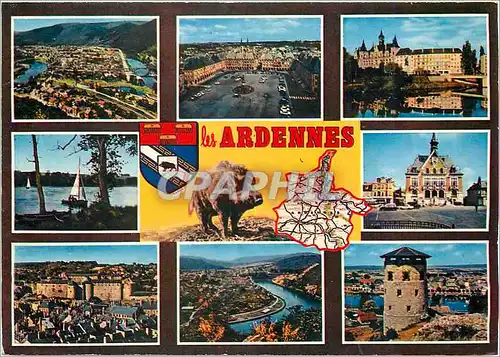 Cartes postales moderne Les Ardennes Sanglier