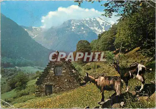 Cartes postales moderne Grange en montagne Chevres