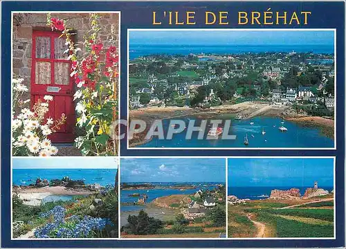 Cartes postales moderne Ile de Brehat (Cotes d'Armor) L'Ile des fleurs et des rochers roses