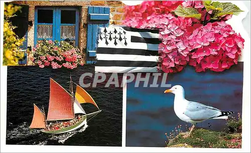 Cartes postales moderne Bretagne Mouette Bateau