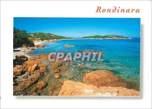 Cartes postales moderne Corse Rondinara La bale
