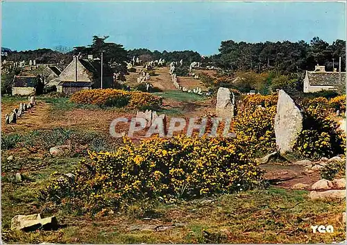 Cartes postales moderne La Bretagne Pittoresque Les alignements megalithiques de Kermarion Carnac