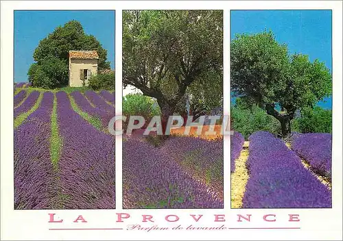 Moderne Karte Images de Provence