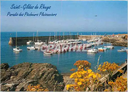 Cartes postales moderne Saint Gildas de Rhuys Le port de plaisance