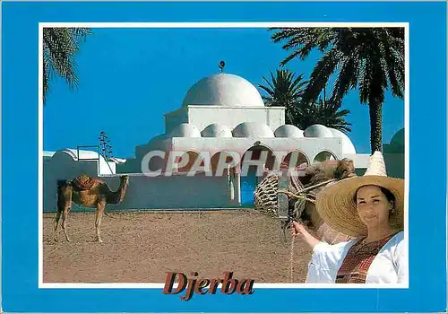 Cartes postales moderne Djerba Tunisie