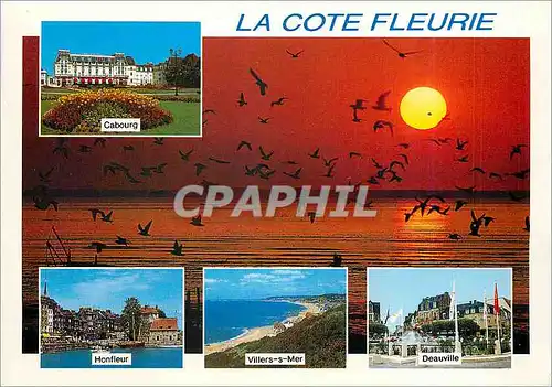 Cartes postales moderne La Cote Fleurie Honfleur Villers sur Mer Deauville