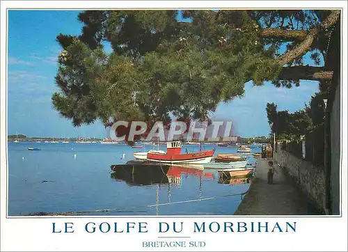 Cartes postales moderne Le Golfe du Morbihan Bretagne sud les rives du Golfe du Morbihan