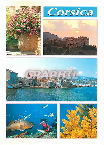 Cartes postales moderne La Corse