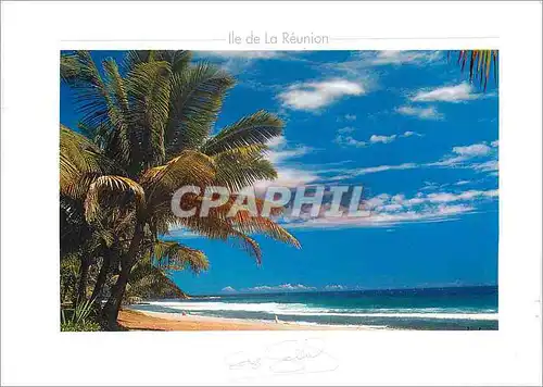 Cartes postales moderne Ile de la Reunion