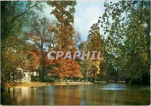 Cartes postales moderne Bordeaux La Riviee du Jardin Public