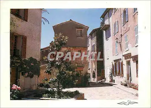 Cartes postales moderne Les Couleurs de la Provence Bormes les Mimosas (Var)