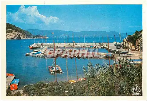 Cartes postales moderne Env du Lavandou Bormes les Mimosas (Var) le Cap Benat Port Philippe