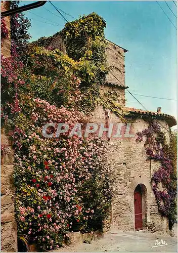 Cartes postales moderne Bormes les Mimosas (Var) 1er pric des villages Fleuris de France Maison Provencale