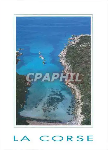 Cartes postales moderne La Corse Anse de Cala Longa