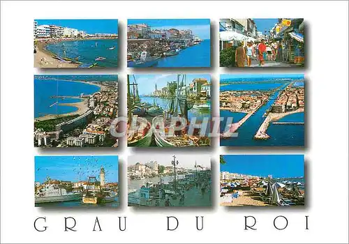 Cartes postales moderne Le Grau du Roi