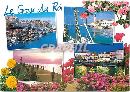 Cartes postales moderne Porte de la Camargue Le Grau du Roi