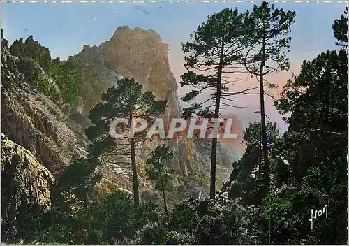 Cartes postales moderne Piana (Corse) Les Calanche