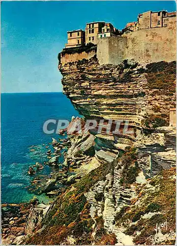 Cartes postales moderne La Corse Oasis de Beaute Bonifacio Muraille rocheuse d'un aspect saisissant soutenant la haute V