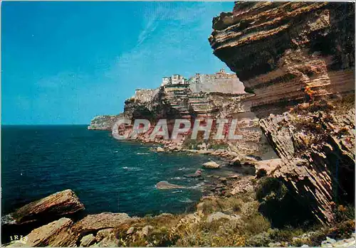 Cartes postales moderne Bonifacio Les falaises Cote Sud