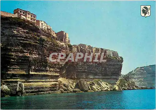 Moderne Karte Bonifacio les falaise et la vieille ville