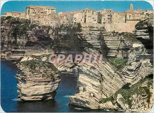 Cartes postales moderne Bonifacio La Vieille ville couronne une falaise abrupte dans un decor de rochers blancs et tourm