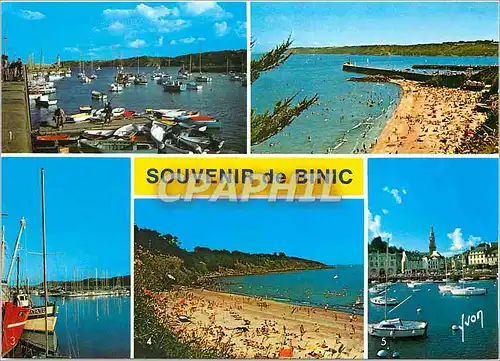 Cartes postales moderne Binic (Cotes du Nord) Le Port La jetee et la plage le port de peche et de PLaisance