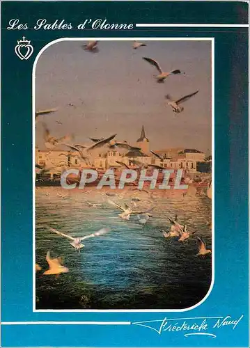 Cartes postales moderne Les Sables d'Olonne La Chaume le port de peche