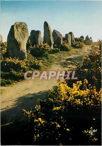 Cartes postales moderne Carnac Les alignements megalithiques de Kermario