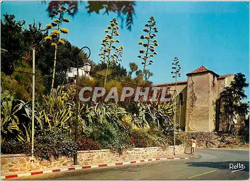 Cartes postales moderne La Cote des Maures Bormes les Mimosas (Var) Chapelle Saint Francois de Paule