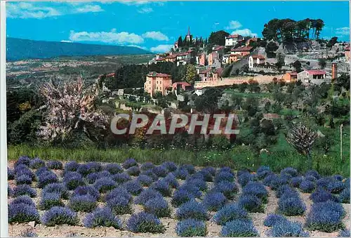 Cartes postales moderne Provence Vieux Village et champ de Lavande