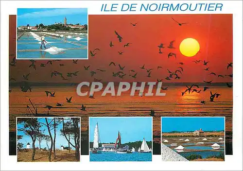 Moderne Karte Ile de Noirmoutier Vendee L'Ile aux mimosas reliee au continent par une route submersible