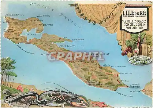 Cartes postales moderne L'Ile de Re Charente Maritime