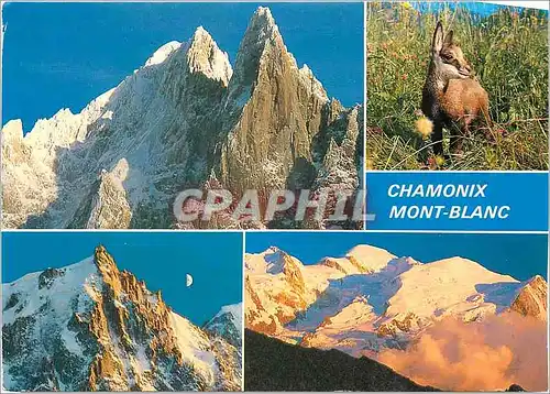 Cartes postales moderne Chamonix Mont Blanc