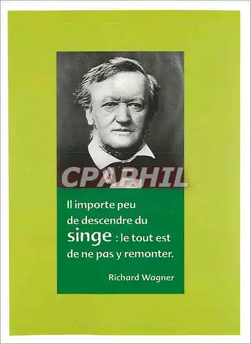 Cartes postales moderne Richard Wagner II Importe peu de descendre du Singe
