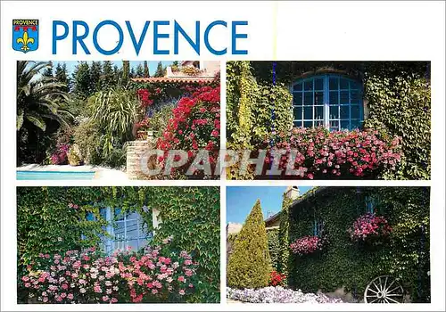 Cartes postales moderne Provence