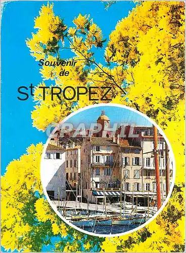 Moderne Karte Souvenir de St Tropez