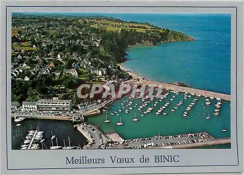 Cartes postales moderne Meilleurs Voeux de Binic