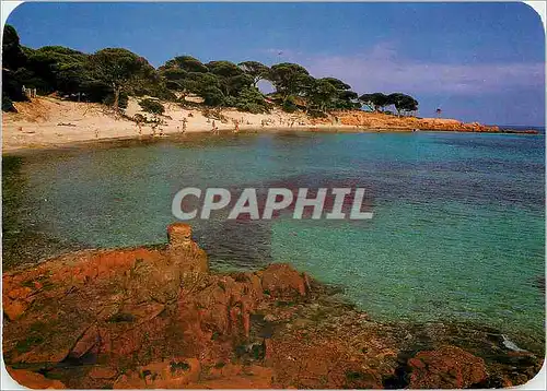 Cartes postales moderne Panorama de la Corse Palombaggia