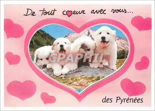Cartes postales moderne Hautes Pyrenees Chilots des Pyrenees