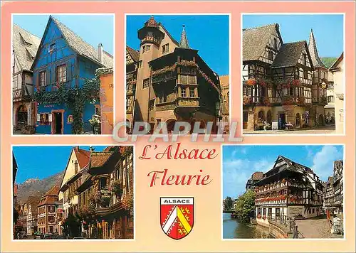 Cartes postales moderne L'Alsace Fleurie