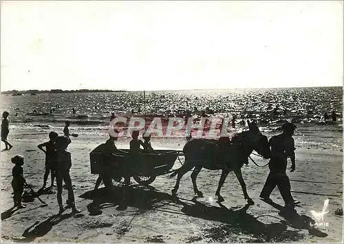Cartes postales moderne Loire Atlantique Silhouettes de Plage Ane Mule