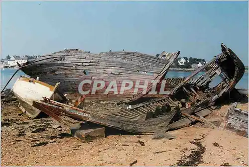 Cartes postales moderne Bateau