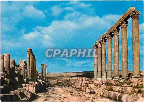 Moderne Karte Street of the Columns Jerash