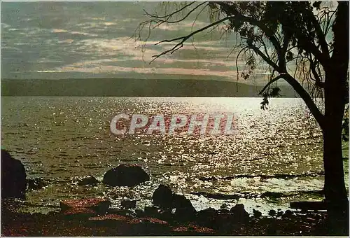 Cartes postales moderne Lake of Tiberias