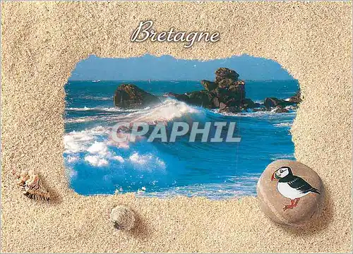Cartes postales moderne Bretagne Oiseau