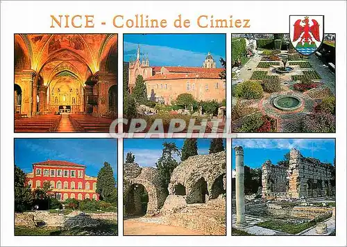 Cartes postales moderne Nice Colline de Cimiez